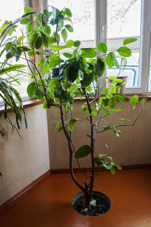 Areni House B&B 외부 사진