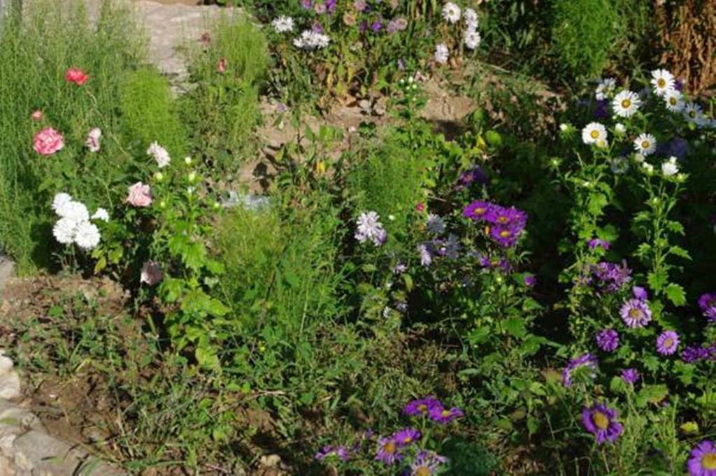 Areni House B&B 외부 사진